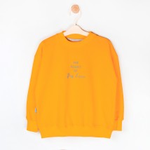 Big LOVE Dexter`s light fleece sweatshirt d315lv-or 122 cm (d315lv-or)