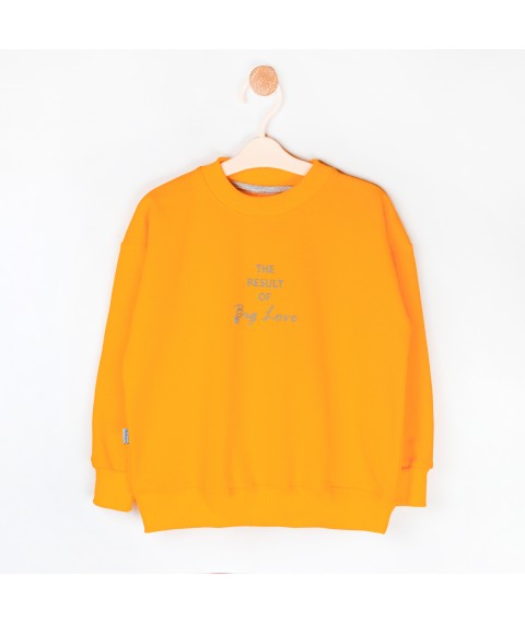 Big LOVE Dexter`s light fleece sweatshirt d315lv-or 110 cm (d315lv-or)