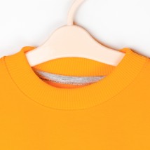 Big LOVE Dexter`s light fleece sweatshirt d315lv-or 98 cm (d315lv-or)
