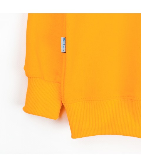 Big LOVE Dexter`s light fleece sweatshirt d315lv-or 122 cm (d315lv-or)