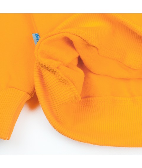Big LOVE Dexter`s light fleece sweatshirt d315lv-or 110 cm (d315lv-or)