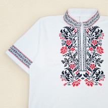 White short-sleeved embroidered shirt for men Dexter`s White 1314 M (d1314-11)