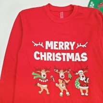 Пижама мужская футер Merry Christmas  Dexter`s  Красный;Зеленый d3003снт-кр   L (d3003снт-кр )