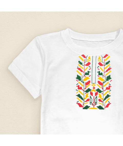 T-shirt for children with a patriotic print Dexter`s White 1102 98 cm (d1102ас-б)
