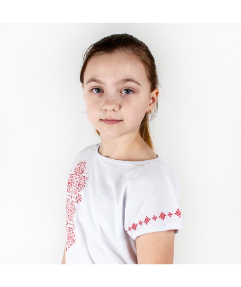 White t-shirt for girls with embroidery print Dexter`s White 1101 110 cm (d1101-1)