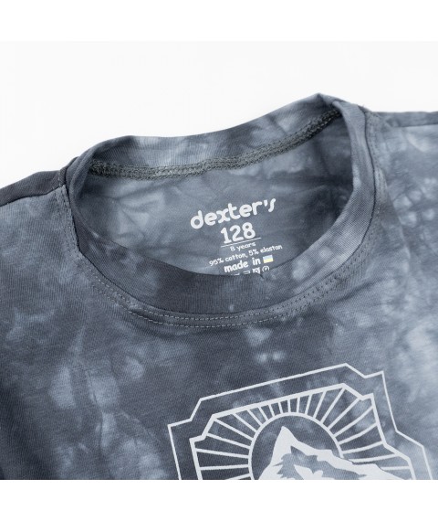 Футболка детская Graphite  Dexter`s  Сірий d1122гр-нв  140 см (d1122гр-нв)