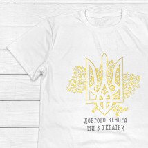 Мужская футболка с патриотическим принтом Украина  Dexter`s  Белый 1104  M (d1104-4)