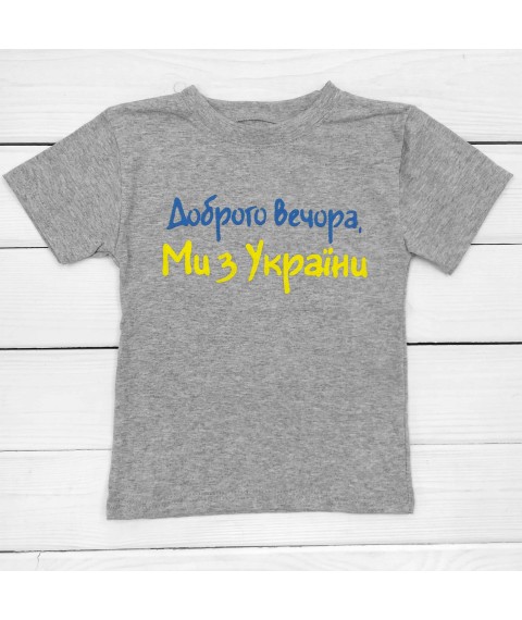 T-shirt for a boy with the inscription Good evening, we are from Ukraine Dexter`s Gray 1102 122 cm (d1102-9)