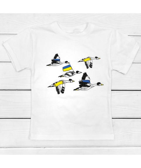 Футболка для хлопчика Птахи України  Dexter`s  Білий 1102  110 см (d1102-14)