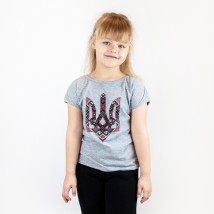 T-shirt for girls with print Dexter`s Trident Gray 1101 134 cm (d1101-13)