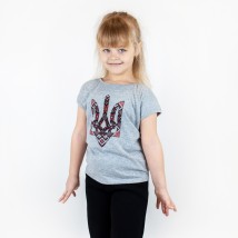 T-shirt for a boy in gray color Dexter`s Trident Gray 1102 110 cm (d1102-13)