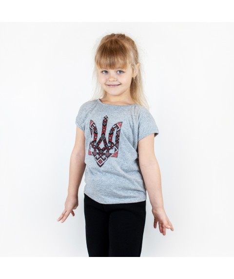 T-shirt for girls with Dexter`s trident print Gray 1101 110 cm (d1101-13)