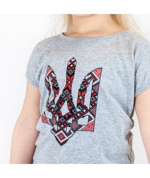 T-shirt for girls with Dexter`s trident print Gray 1101 122 cm (d1101-13)