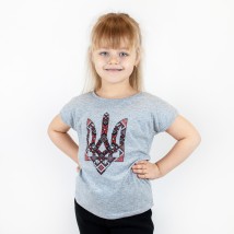 T-shirt for boys in gray color Dexter`s Trident Gray 1102 98 cm (d1102-13)