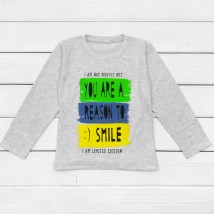 Smile Dexter`s T-shirt for boys with long sleeves Gray 1203 122 cm (d1203-4)
