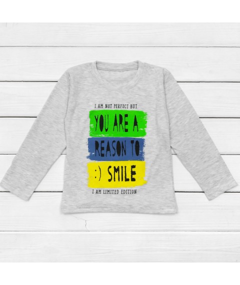 Smile Dexter`s T-shirt for boys with long sleeves Gray 1203 110 cm (d1203-4)