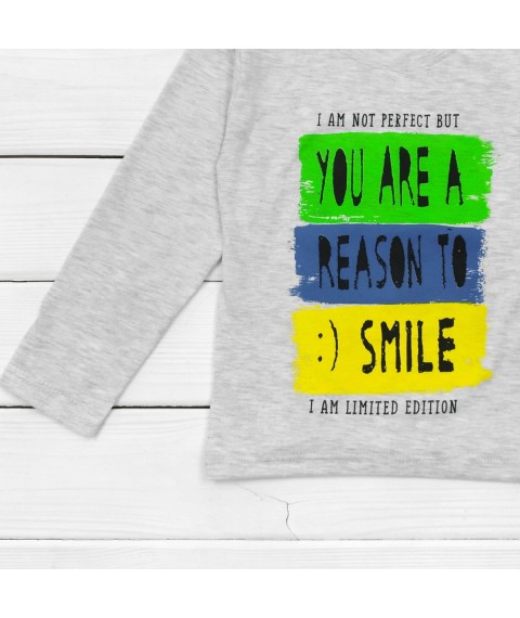 Smile Dexter`s T-shirt for boys with long sleeves Gray 1203 110 cm (d1203-4)