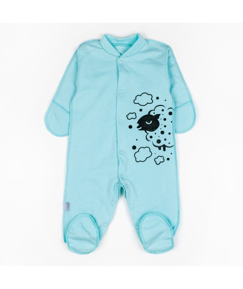 Sleep for newborns in Barashek Dexter`s maternity hospital Menthol 320 56 cm (d320-1br-mt)