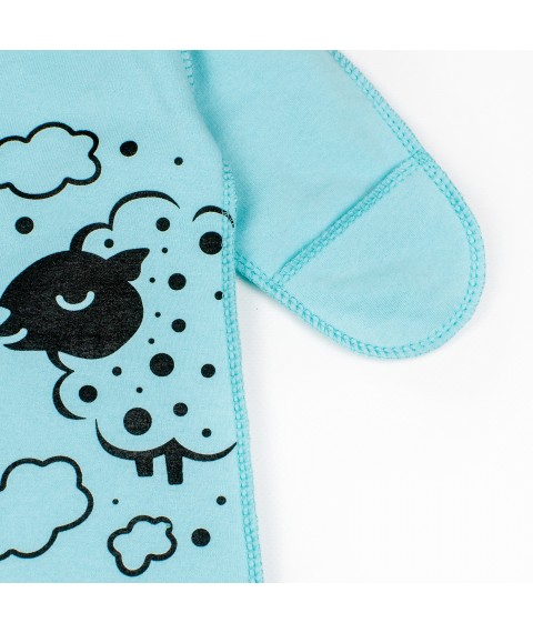 Sleep for newborns in Barashek Dexter`s maternity hospital Menthol 320 56 cm (d320-1br-mt)