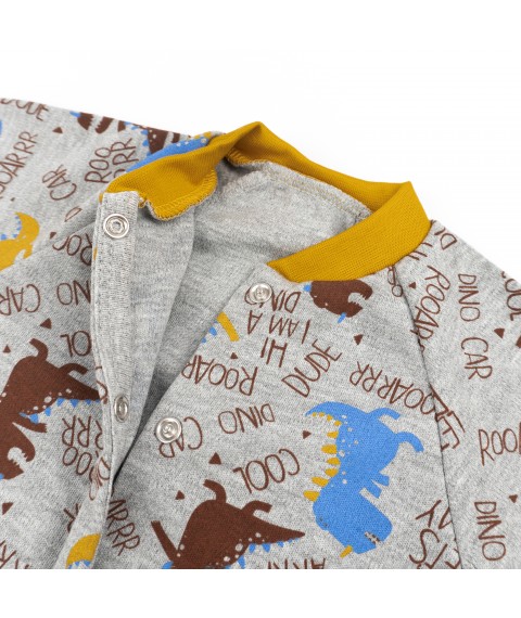 Men's raglan Dexter`s Dinosaurs Gray 973 80 cm (d973-1d-tm)