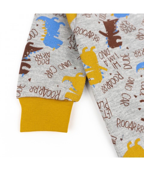 Men's raglan Dexter`s Dinosaurs Gray 973 80 cm (d973-1d-tm)