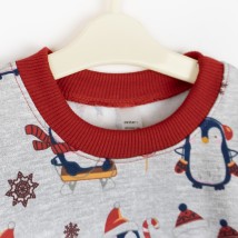 Джемпер детский новогодний с начесом с пингвинами Christmas penguin  Dexter`s  Серый d315пг-нв  110 см (d315пг-нв)