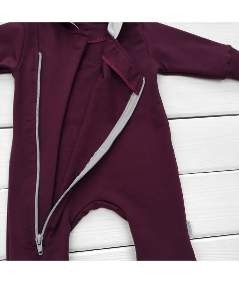 d2156-4. One-piece hooded sweatshirt, 2-thread, cuff, wine Dexter`s Burgundy 2156 80 cm (d2156-4)