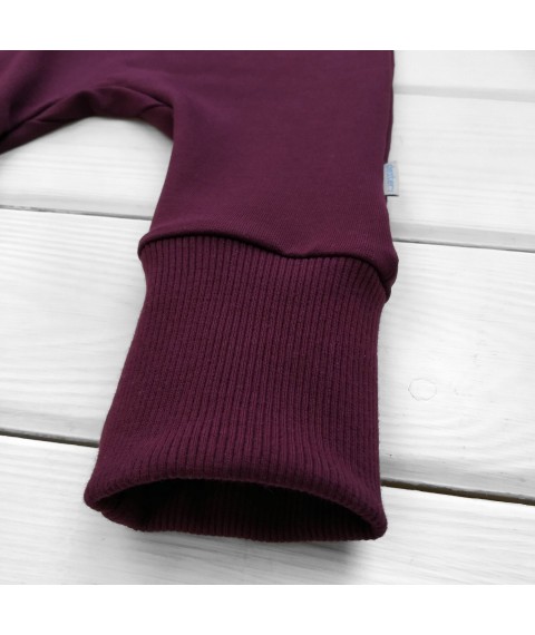 d2156-4. One-piece hooded sweatshirt, 2-thread, cuff, wine Dexter`s Burgundy 2156 74 cm (d2156-4)