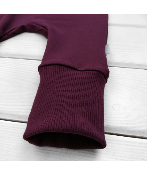 d2156-4. One-piece hooded sweatshirt, 2-thread, cuff, wine Dexter`s Burgundy 2156 80 cm (d2156-4)