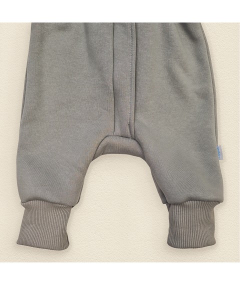 Grey olive Dexter`s warm three-piece overalls with a cap Gray 2142 68 cm (d2142-46)