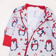 Men's zip-up jacket Christmas penguin Dexter`s Gray; Red d320-4snt-b 92 cm (d320-4snt-b )