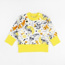Boy's suit with jumper and pants Dexter`s raccoon Yellow 360 80 cm (d360en)