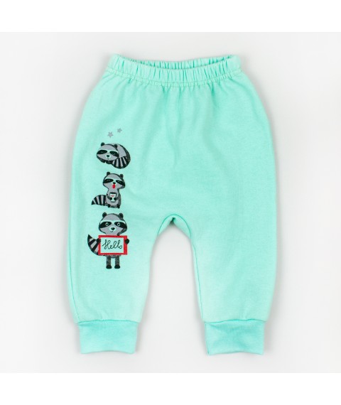 Set of menthol color for a baby body and pants from three months of age Dexter`s raccoons Menthol 307e-mt 68 cm (307e-mt)