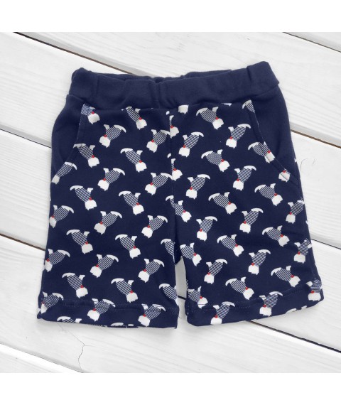 Boy's set shorts and tank top Malena dog 923y 128 cm (923y)