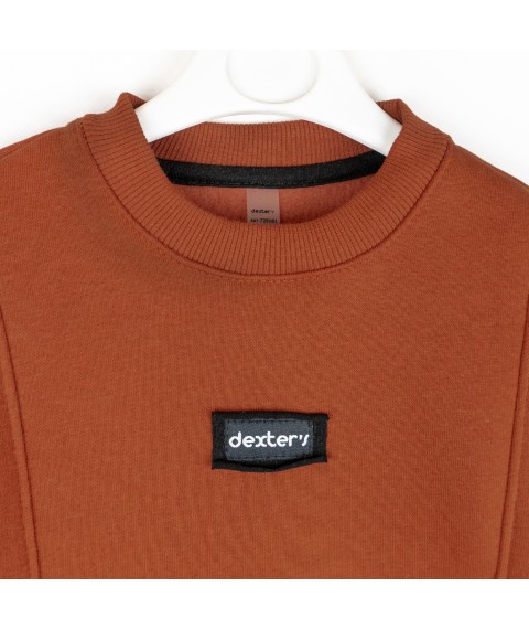 Дитячий теплий костюм на флісі Cinnamon  Dexter`s  Коричневый 729181  146 см (729181)