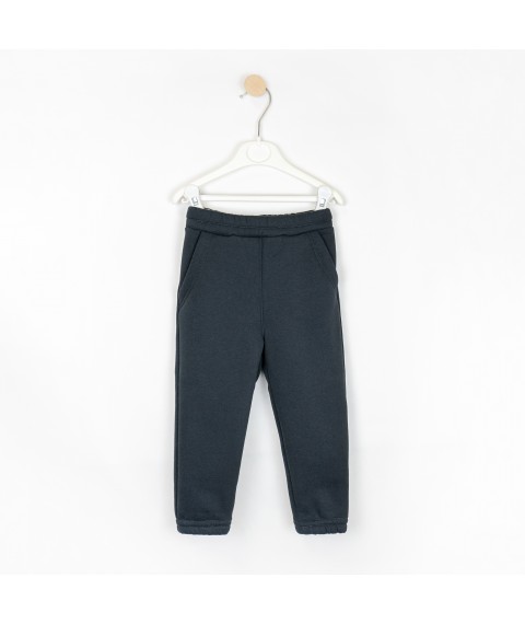 Navy Dexter`s Navy Dexter`s Kids Warm Fleece Hoodie and Pants Dark Blue 2147 98cm (d2147-16)