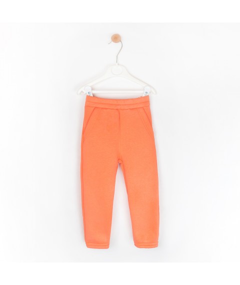 Детский теплый костюм из ткани трехнить Papaya  Dexter`s  Оранжевый d2147-19-1  134 см (d2147-19-1)