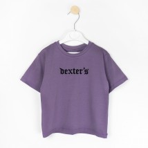 Комплект футболка и шорты с вышивкой Purple Dexters  Dexter`s  Фиолетовый d2301-2  146 см (d2301-2)