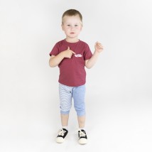 Set for a boy Dexter`s wheelbarrow Burgundy; Blue 949 86 cm (d949-1)