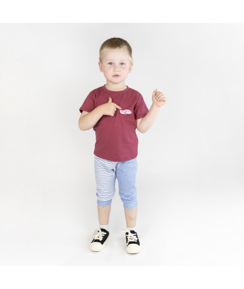 Set for a boy Dexter`s wheelbarrow Burgundy; Blue 949 110 cm (d949-1)