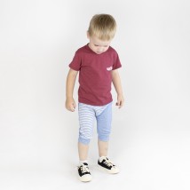 Set for a boy Dexter`s wheelbarrow Burgundy; Blue 949 86 cm (d949-1)