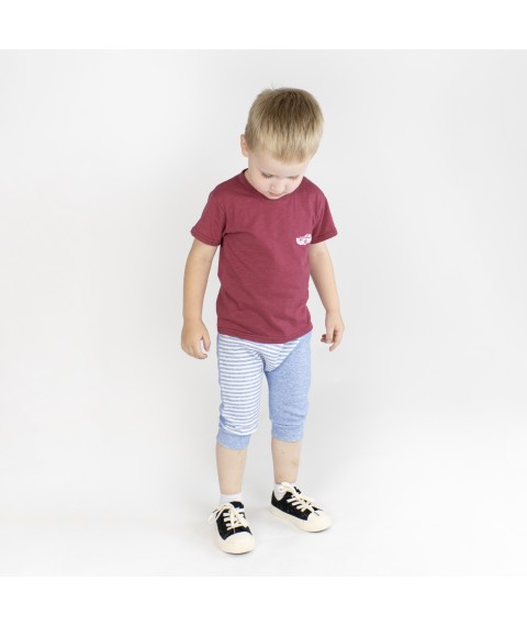Set for a boy Dexter`s wheelbarrow Burgundy; Blue 949 110 cm (d949-1)