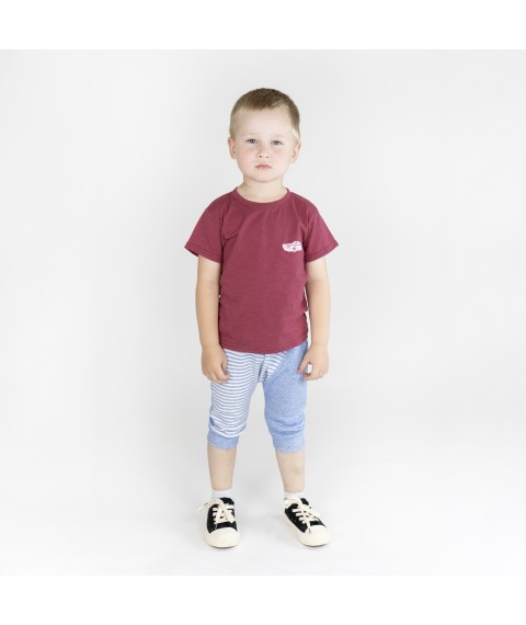 Set for a boy Dexter`s wheelbarrow Burgundy; Blue 949 110 cm (d949-1)