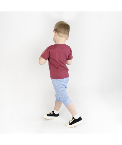 Set for a boy Dexter`s wheelbarrow Burgundy; Blue 949 110 cm (d949-1)