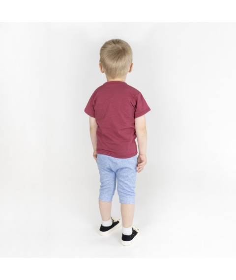 Set for a boy Dexter`s wheelbarrow Burgundy; Blue 949 110 cm (d949-1)