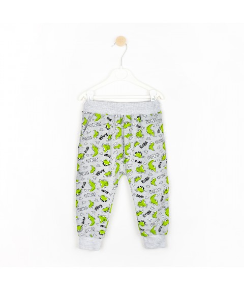 Dino suit for boy made of Dexter`s two-thread fabric Gray 210 134 cm (d210-1)