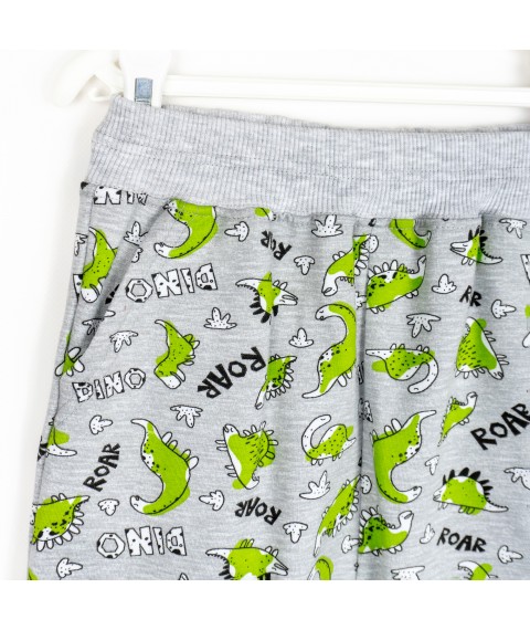 Dino suit for boy made of Dexter`s two-thread fabric Gray 210 134 cm (d210-1)