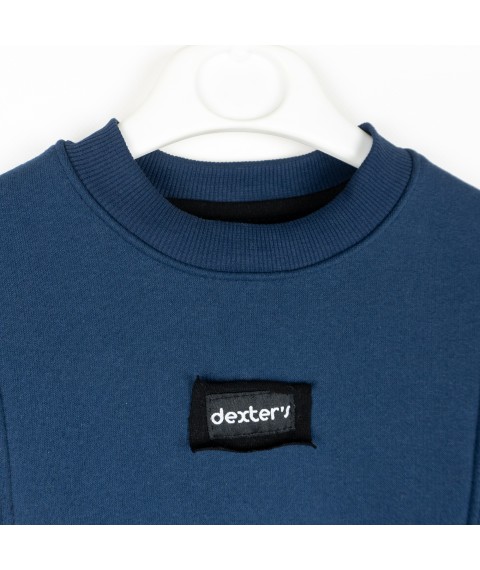 Теплый костюм на флисе Blue  Dexter`s  Синий 729162  146 см (729162)