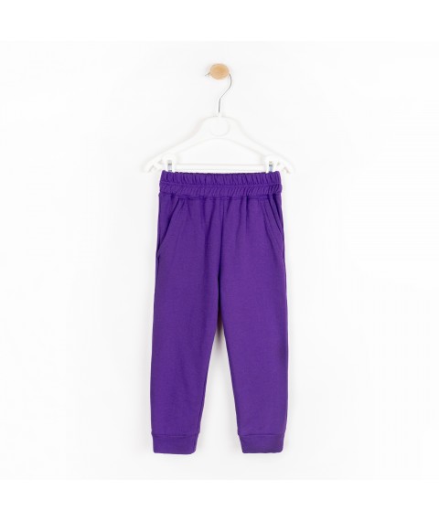 Children's three-color suit with Dexter's embroidery Violet; Yellow 310 98 cm (d310дкс-ф)