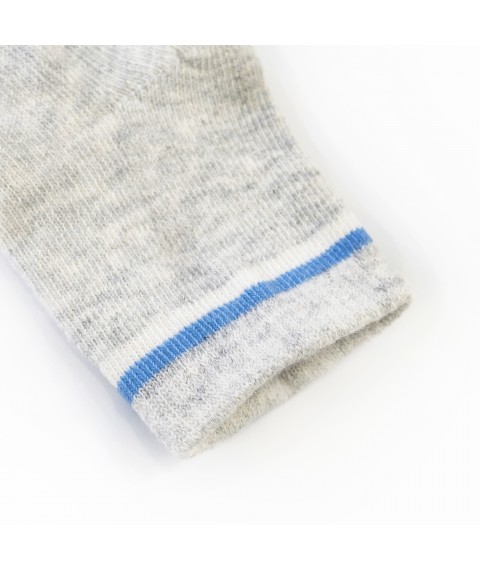 Носки детские Grey Strips  Dexter`s  Серый 68779  0-14м (68779)
